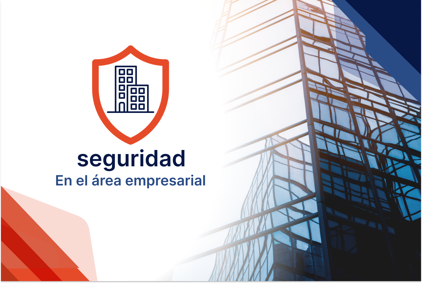 La Seguridad en el área empresarial